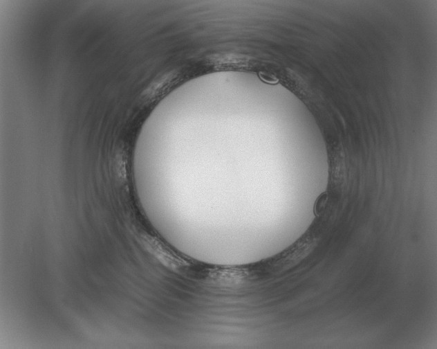 X0000078840282200612041847