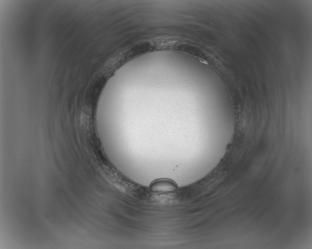 X0000078840283200612041847