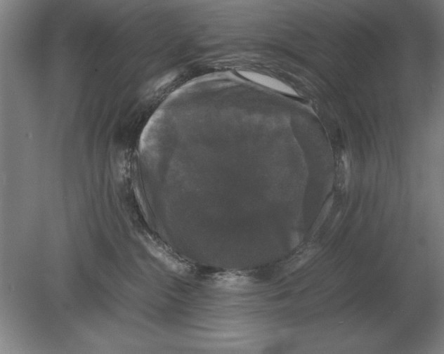 X0000078840284200612041847