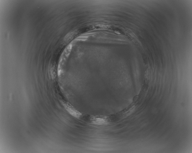 X0000078840285200612041847