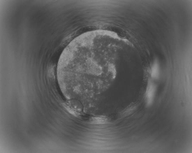 X0000078840286200612041847