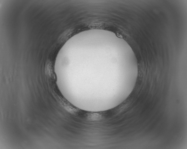 X0000078840287200612041847