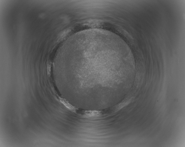 X0000078840288200612041847