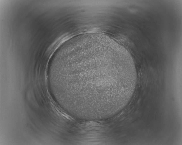 X0000078840290200612041846