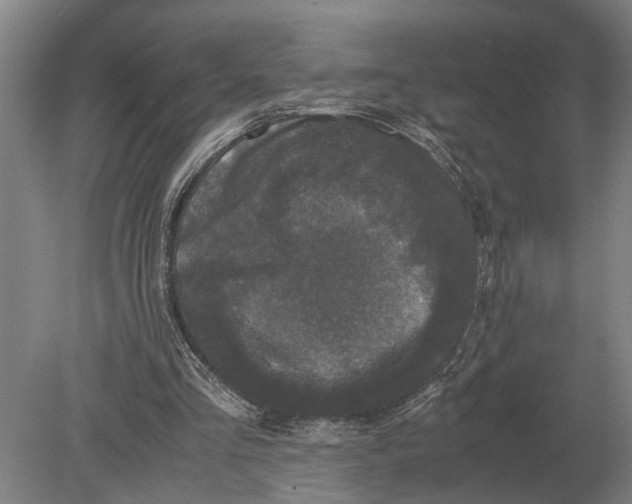 X0000078840293200612041846