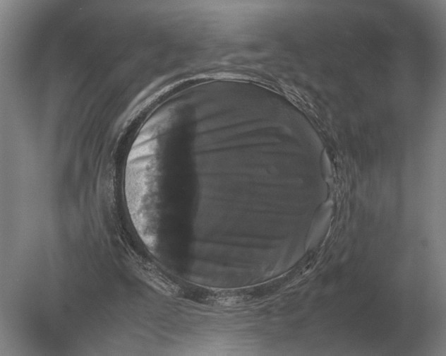 X0000078840295200612041846