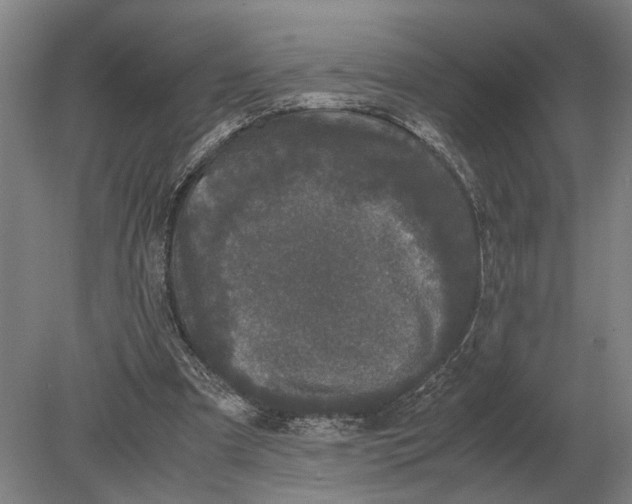 X0000078840297200612041846