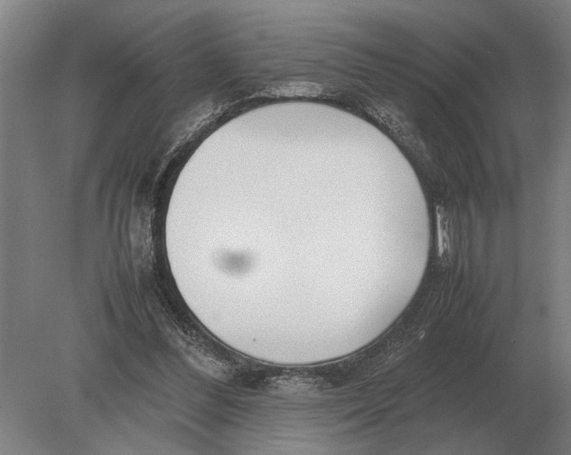 X0000078840300200612041846