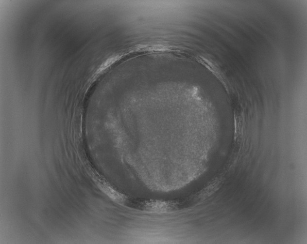 X0000078840301200612041846