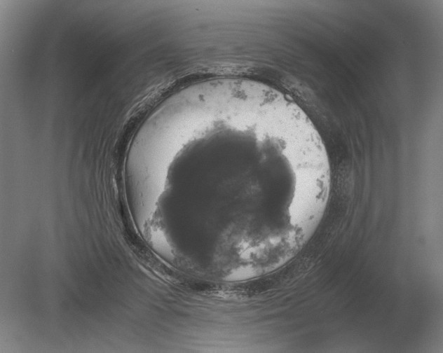 X0000078840303200612041846