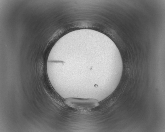 X0000078840304200612041846