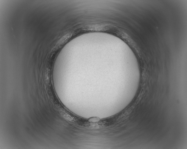 X0000078840305200612041846