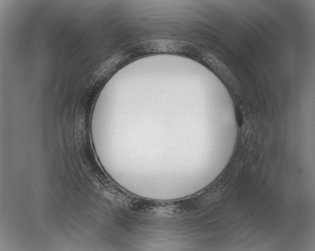 X0000078840306200612041846