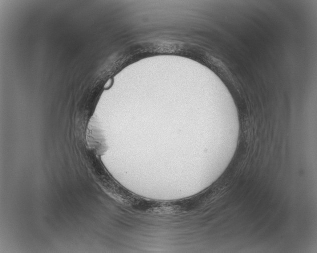 X0000078840307200612041846