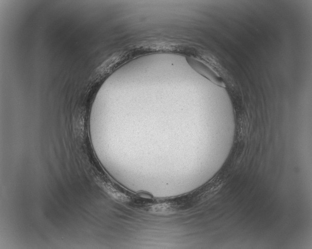 X0000078840309200612041846