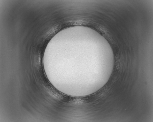 X0000078840310200612041846