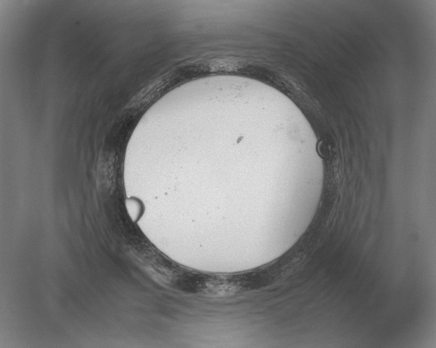 X0000078840311200612041846