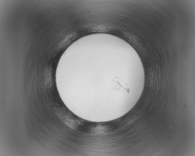 X0000078840312200612041846