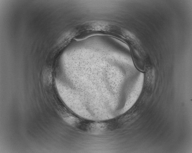 X0000078840313200612041846