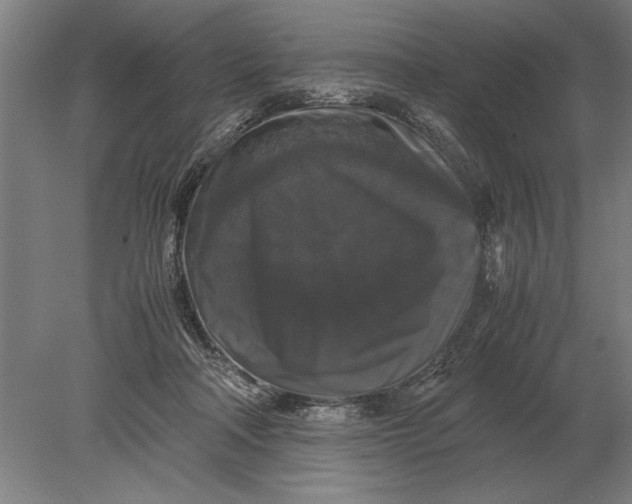 X0000078840314200612041846