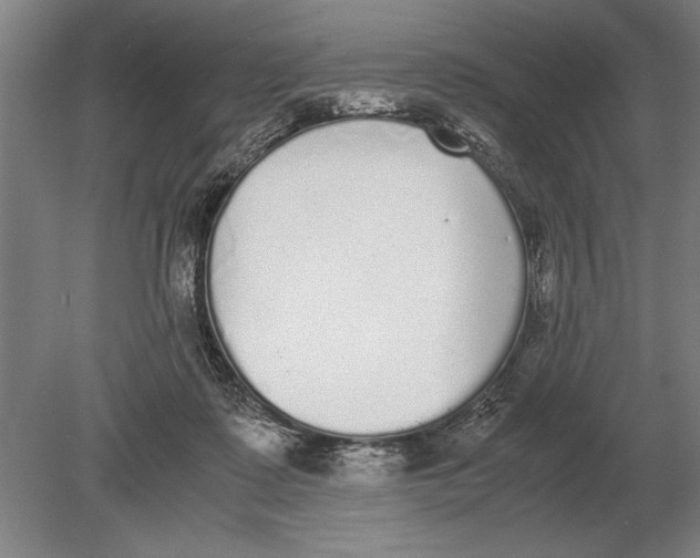 X0000078840315200612041846