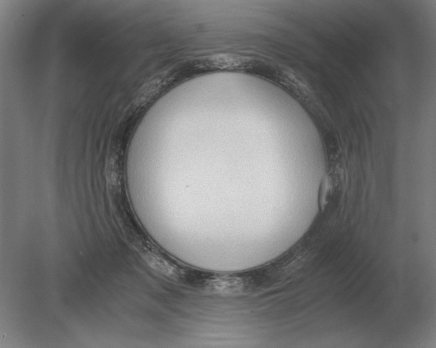 X0000078840317200612041846