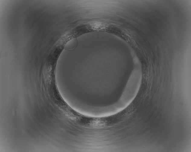 X0000078840319200612041846