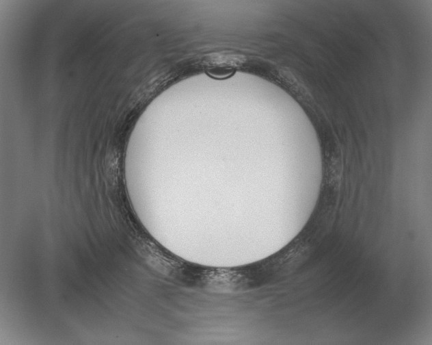 X0000078840321200612041846