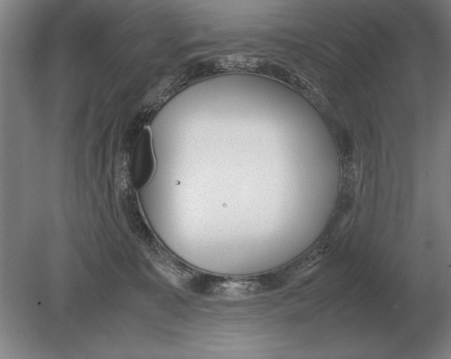 X0000078840323200612041846