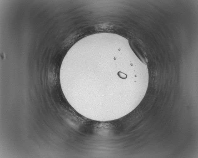 X0000078840324200612041846