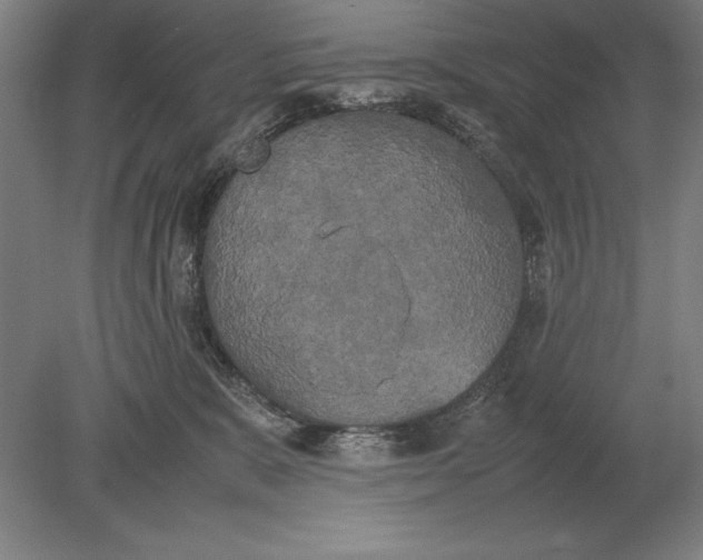 X0000078840327200612041846