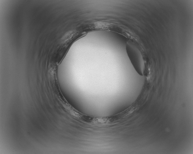 X0000078840329200612041846