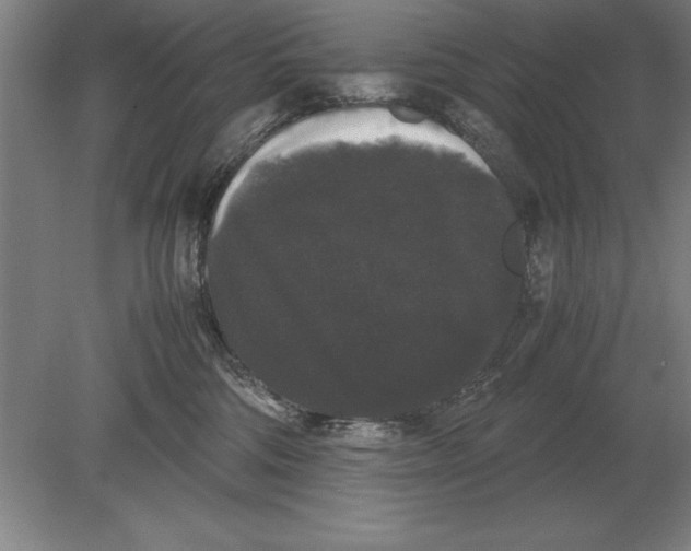 X0000078840330200612041846