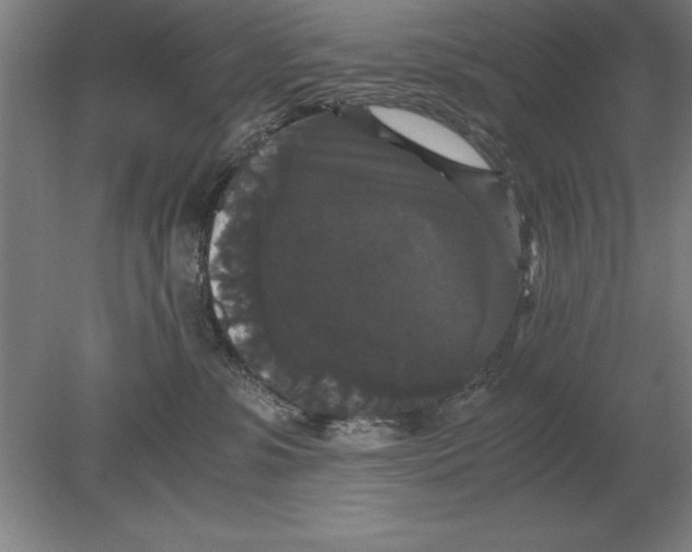 X0000078840331200612041846