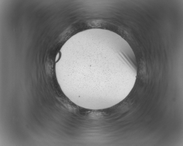 X0000078840332200612041846