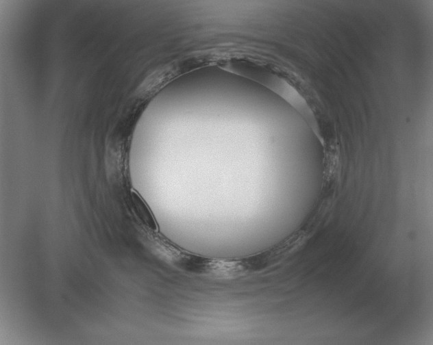 X0000078840333200612041846