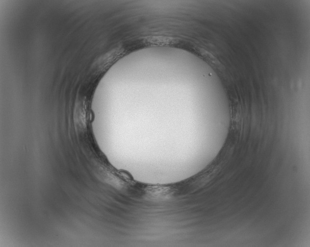 X0000078840334200612041846