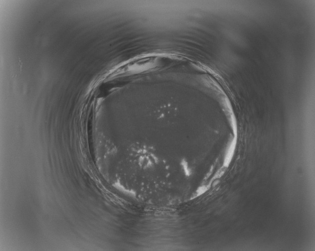 X0000078840337200612041845