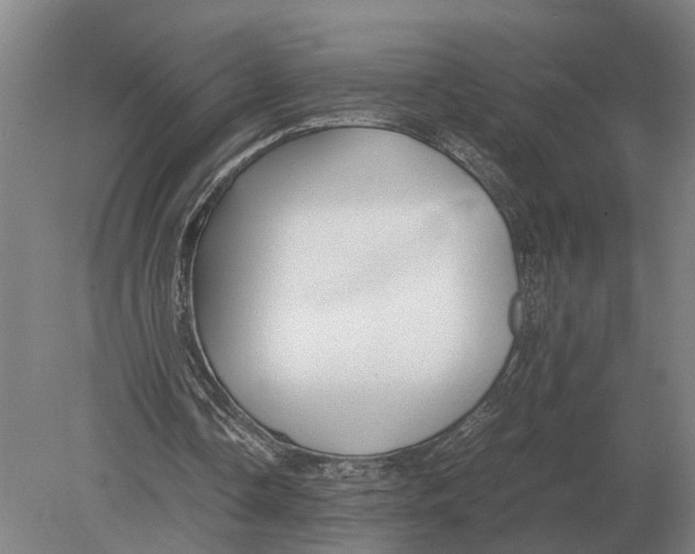 X0000078840338200612041845