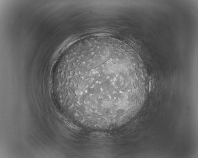 X0000078840339200612041845