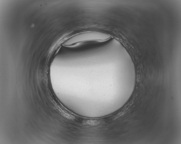 X0000078840341200612041845