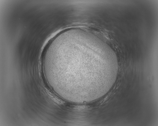 X0000078840342200612041845