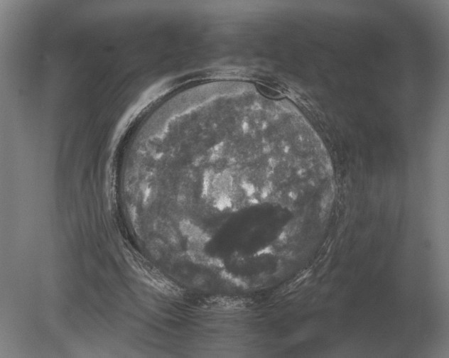 X0000078840343200612041845