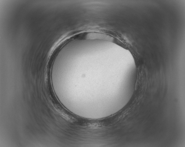 X0000078840344200612041845