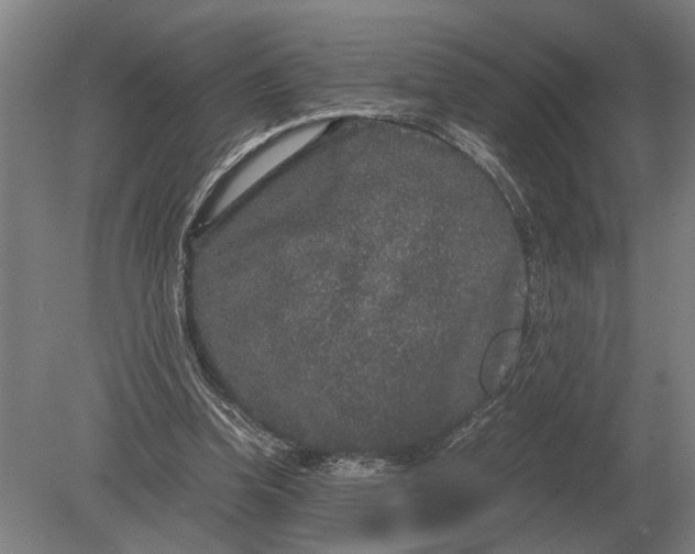 X0000078840346200612041845