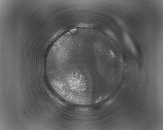 X0000078840349200612041845