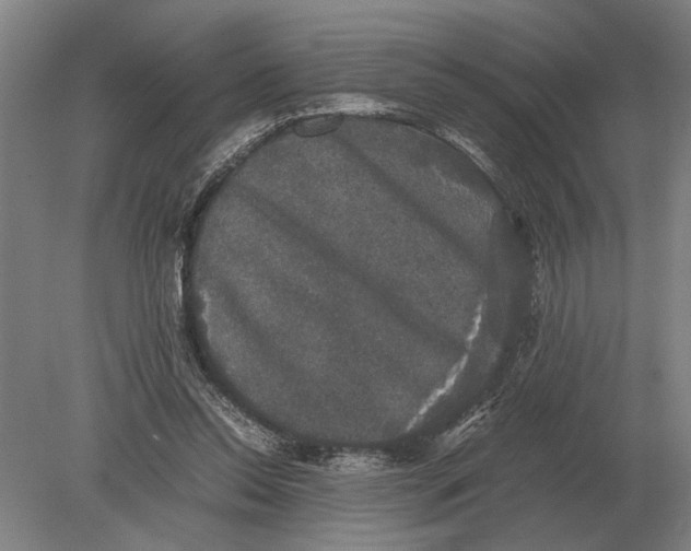 X0000078840350200612041845