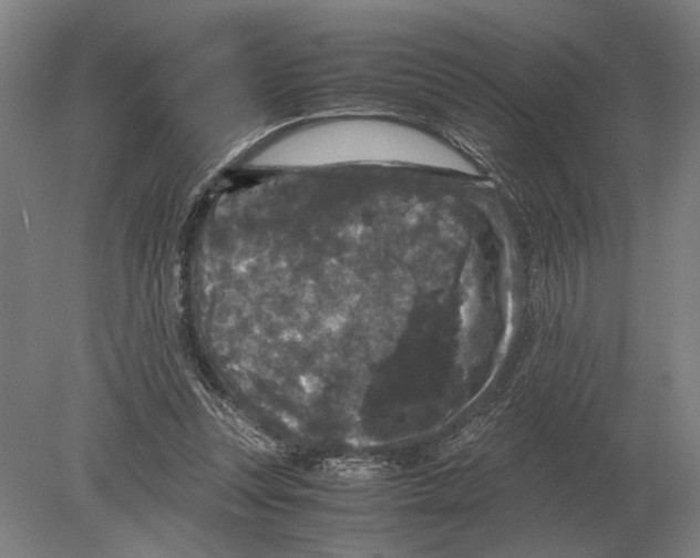 X0000078840351200612041845