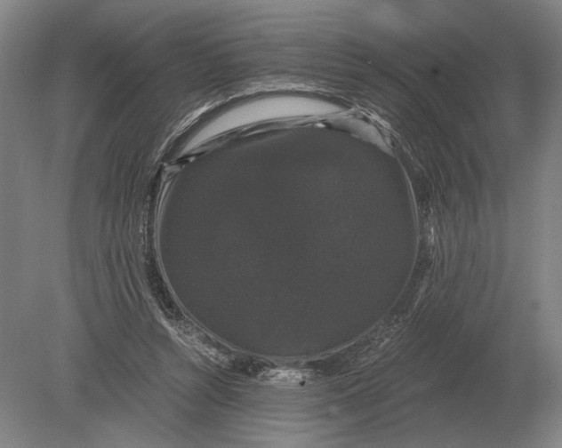 X0000078840352200612041845