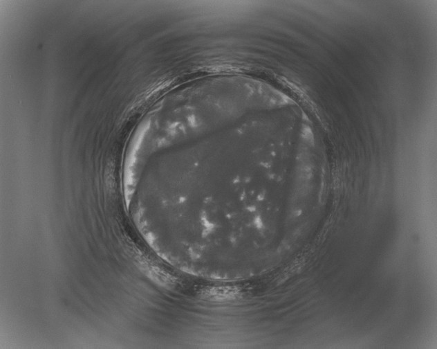 X0000078840353200612041845